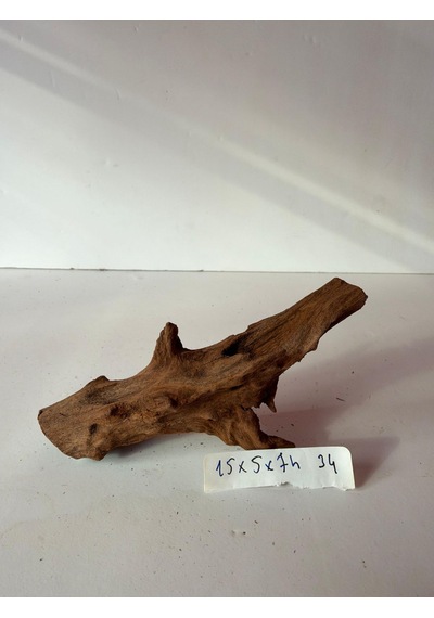 Mangrow Kökü No:a34a 15x5x7h
