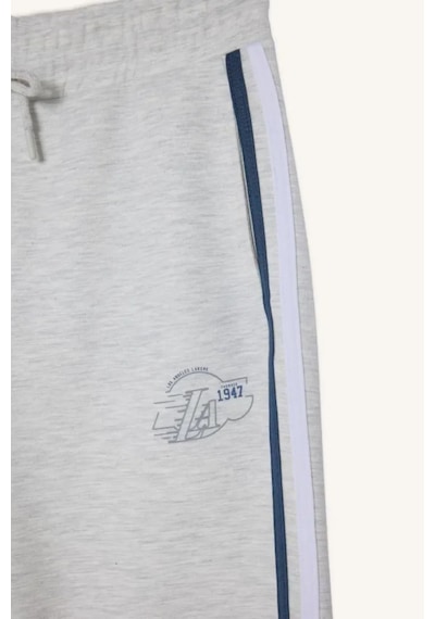 Defacto Nba Los Angeles Lakers Standart Fit Skuba Dalgıç Kumaş Jogger F6978ax26spgr421 Gri-gr421