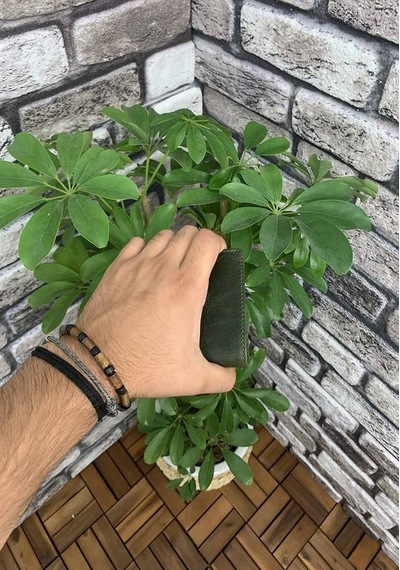 Guard Yeşil Tiguan Crazy Minimal Spor Hakiki Deri Erkek Cüzdanı P705 Yeşil