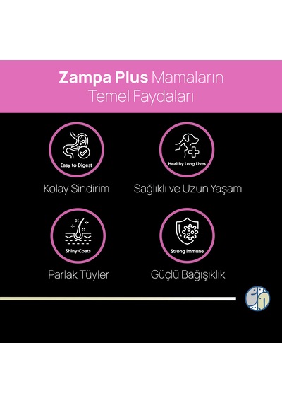 Zampa Plus Premium Tavuk Etli Yavru Kediler İçin Kuru Mama 1500 G
