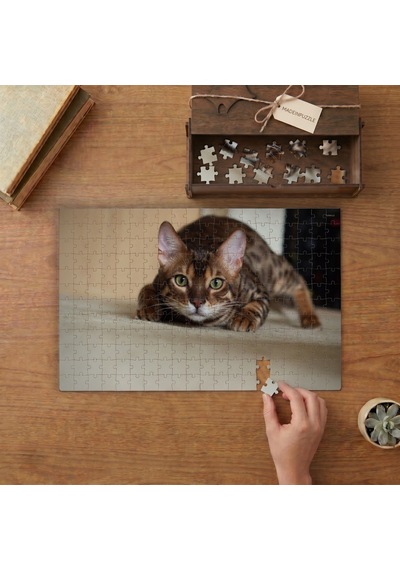 Yetişkin Bengal Kedisi Tasarımı 240 Parça Ahşap Puzzle Ahşap Kutuda Mpy60207