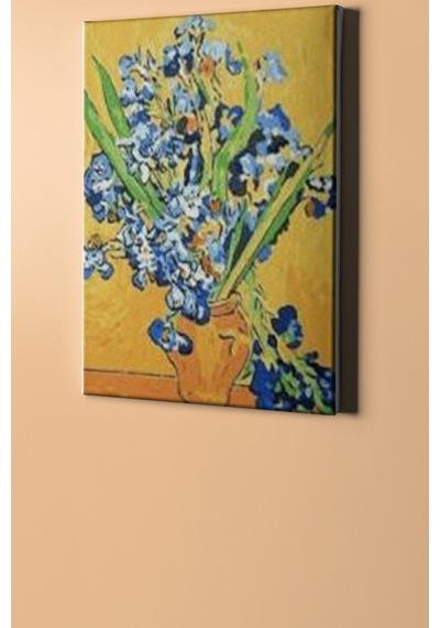 Webstyle Sayılarla Boyama Seti Kasnaklı V G Süsen 60 X 75 Cm