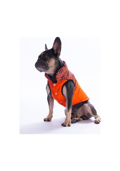 Turuncu Elgin Paws Ekose Desen Yelek Köpek Yeleği Köpek Kıyafeti Köpek Yağmurluk
