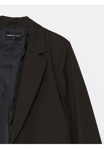 Lcwaıkıkı Classic Kahverengi Çizgili Kadın Blazer Ceket