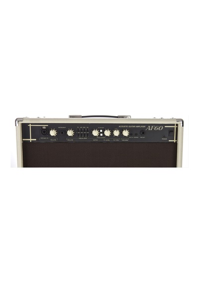 Cort Af60 Akustik Gitar Ve Saz Amfisi, 60w
