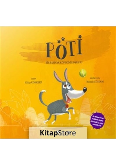 Poti / Gökçe Gökçeer