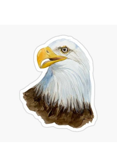 Araba Için Kartal Oto Sticker Yapıştırması Etiket 17Cm A6