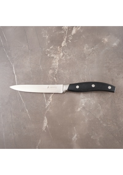 Aryıldız Durinox Saplı Dekor Bıçağı 19 Cm Renkli