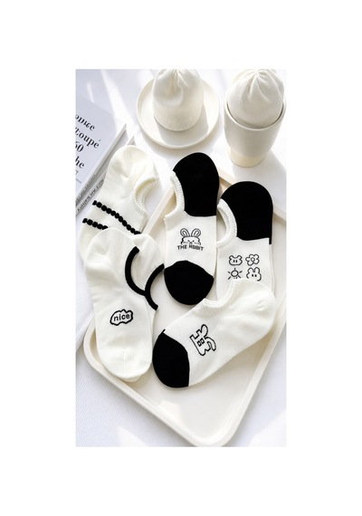 Waynap 10 Lu Paket Desenli Kadın Babet Çorap Model 2