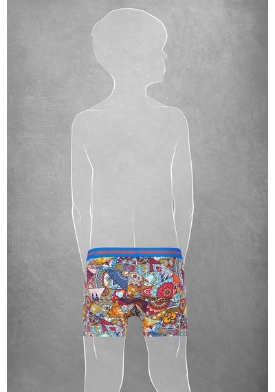 Doreanse Erkek Çocuk Modal Baskılı Patchwork Renkli Boxer 613