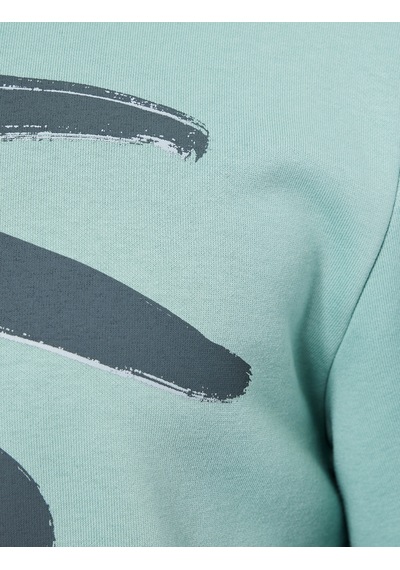 Koton Uzun Kollu Baskılı Şardonlu Kapşonlu Sweatshirt Yeşil 6wam70045mk Yeşil