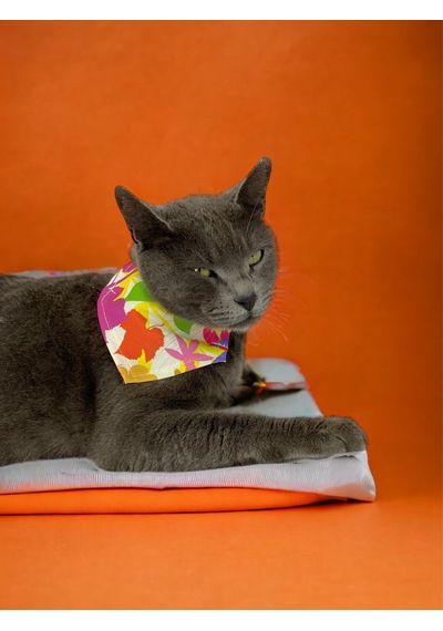 Kemique Summer Bandana Fular Kedi Kıyafeti