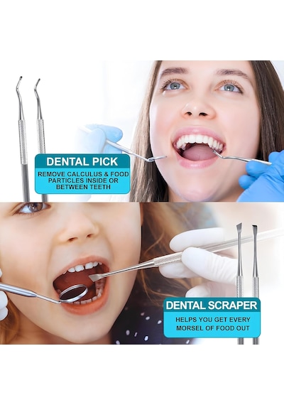 Dental Ağız Bakım Seti, 6 Adet Paslanmaz Çelik Aparat, Kutulu Diş Tartar Dil Temizleyici, Diş Arası Ve Diş Bakımı İçin Etkili Derinlemesine Temizlik Sunan Profesyonel Paslanmaz Çelik Ağız Diş Bakımı