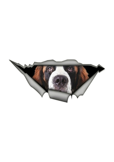Saint Bernard Köpek Yırtık Araba Sticker Etiket