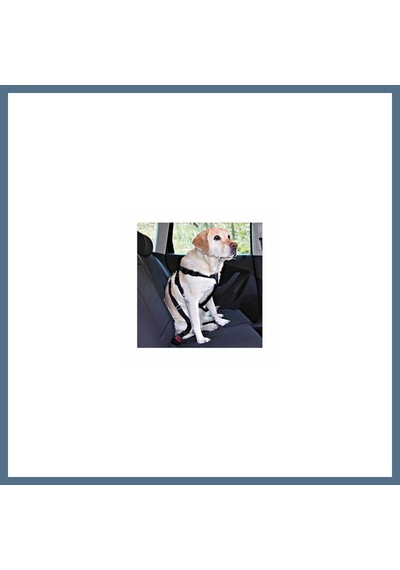 Buradabulabilirsin Köpek Emniyet Kemeri Medium 50-70 Cm Bbz