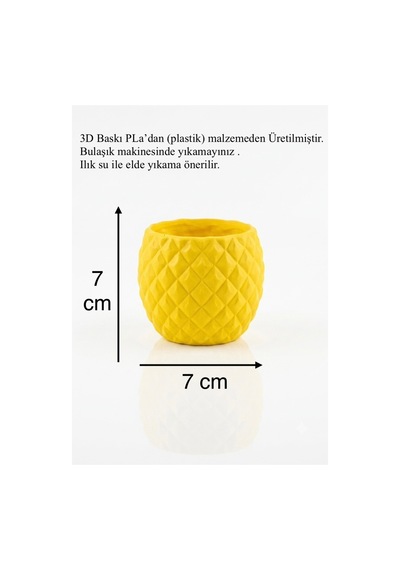 Dekoratif Ananas Tasarım Mini Saksı, Geometrik Desenli Kaktüs Saksısı