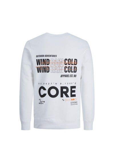 Jack & Jones Erkek Sırt Baskılı Sweatshirt 12223238 001