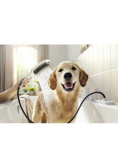 Hansgrohe Dogshower 150 3Jet Beyaz 26640700 Diğer