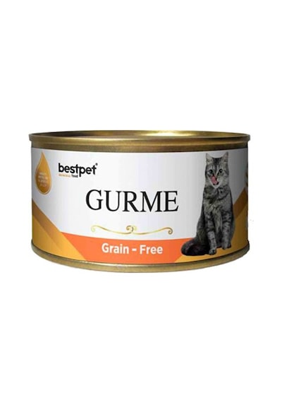 Bestpet Gurme Jöleli Somonlu Yetişkin Kedi Konservesi 100 G