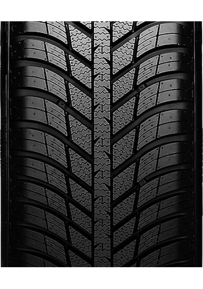 Nexen 225/55 R17 101W XL N Blue 4season 2 Dört Mevsim Lastiği 2023