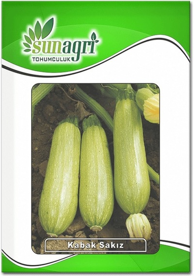 Sakız 5801 Kabak Tohumu