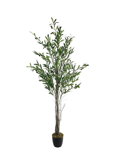 Yapay Zeytin Ağacı 160Cm Tek Gövdeli Çalılı Doğal Gerçek Görünüml