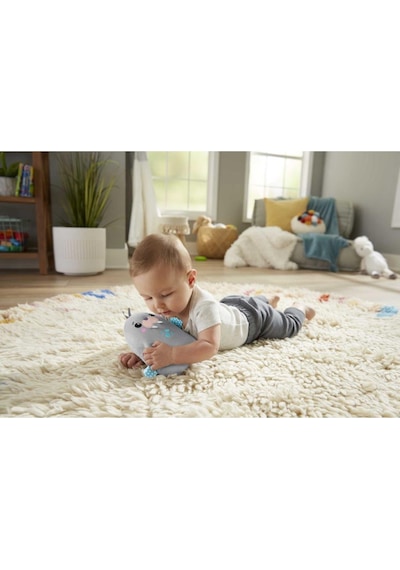 Fisher Price Sevimli Mors Uyku Arkadaşım Grt91