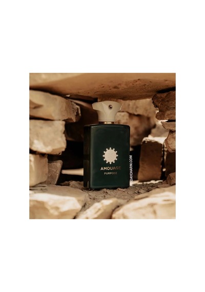 Purpose Edp 100ml Diğer