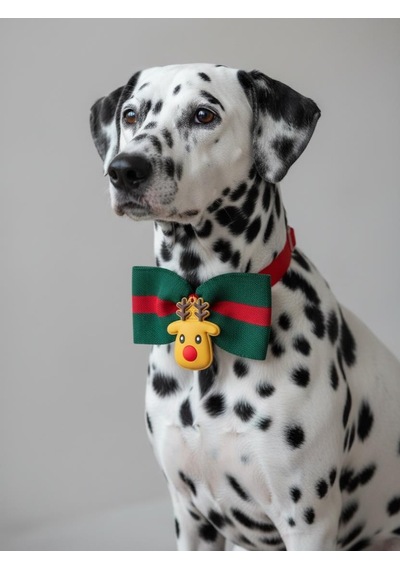 Royal Rudolph Premium Yılbaşı Köpek Papyonu Limited Edition Luxe Aksesuar Orta & Büyük Irklar İçin