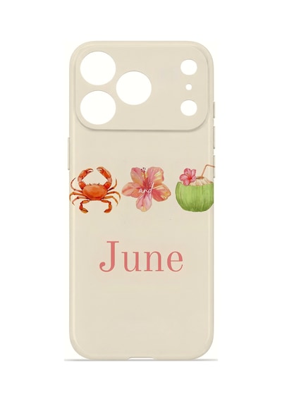 Apple iPhone Uyumlu 17 Pro Max Vorian İnce Kamera Korumalı Mika Kılıf June Seaside June Seaside Mika