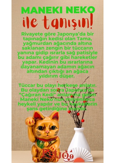 Petjoo 4.Maneki Neko Kırmızı-Yeşil Qr'lı Kedi Künyesi
