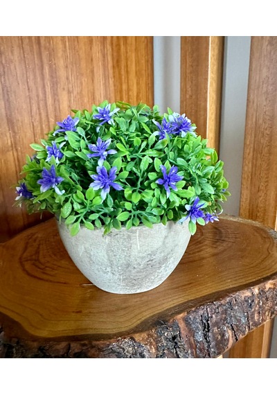 Premium Saksılı Yapay Çiçek Dekoratif Masaüstü Bitkisi 13x16 Cm Çok Renkli