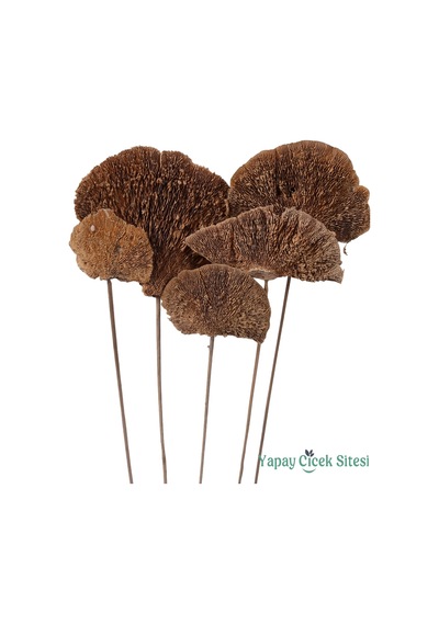 Yapay Çiçek Sitesi Kuru Çiçek Doğal Mushroom Mantar 50 Cm 5li Naturel