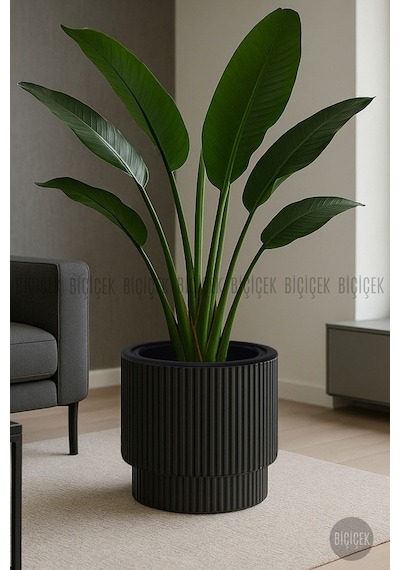 Vega Saksı 32 Cm Mocha Kahverengi