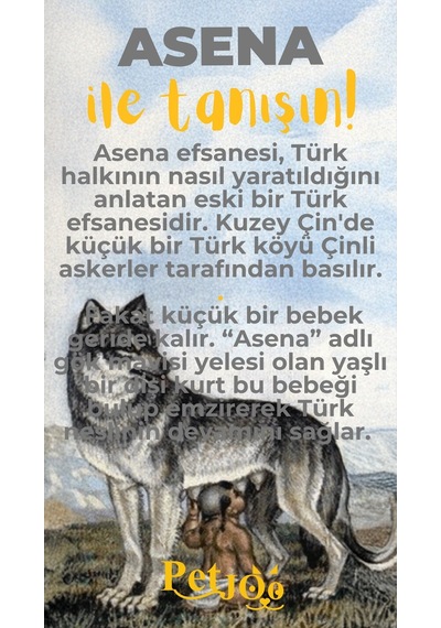 Petjoo 25.Asena Sarı-Gri Qr'lı Köpek Künyesi