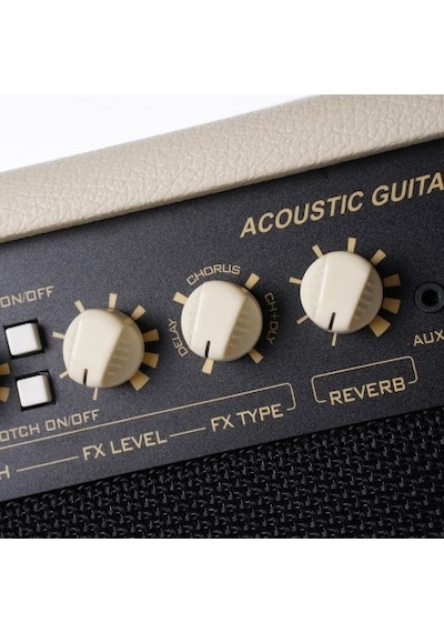 Cort Af60 Akustik Gitar Ve Saz Amfisi, 60w