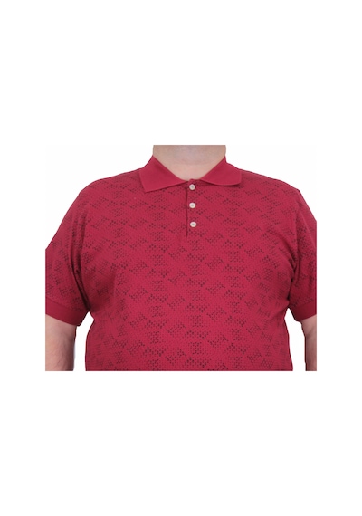 Moc Grande Mocgrande Erkek Büyük Beden Polo Yaka Üçgen Baskılı Tişört 24450 Bordo-Bordo