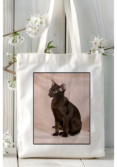 Art Hediye Havana Kedi Baskılı Omuz Çanta Kişiye Özel Model 5 Çok Renkli
