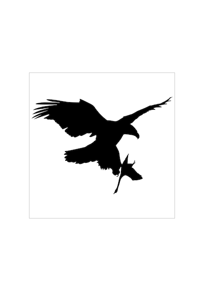 Kartal Folyo Sticker Derstv757 30cm Uzunluk Siyah
