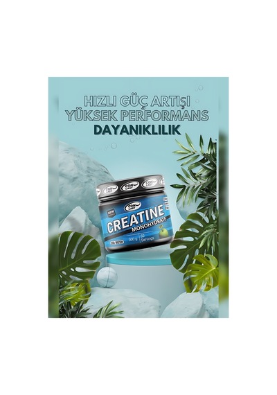 L-carnıtine 3000mg - Creatine 300g - Proflaks 300g