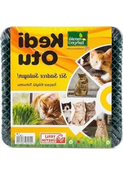 Sindirim Rahatlatıcı Kedi Çimi
