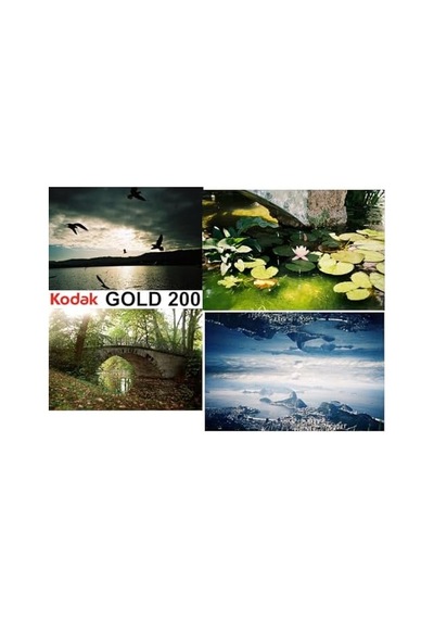 1 Gold 200 135/36
