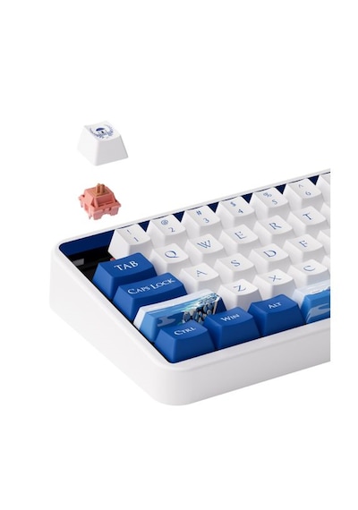 Akko JIN01 Santorini Rosewood Switch RGB Kablosuz Hotswap Mekanik Oyuncu Klavye