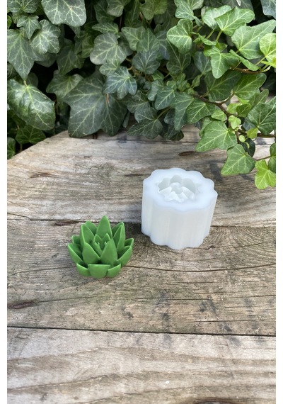 Rufus Concept Agavoides Sukulent Mum Kalıbı ( Silikon )
