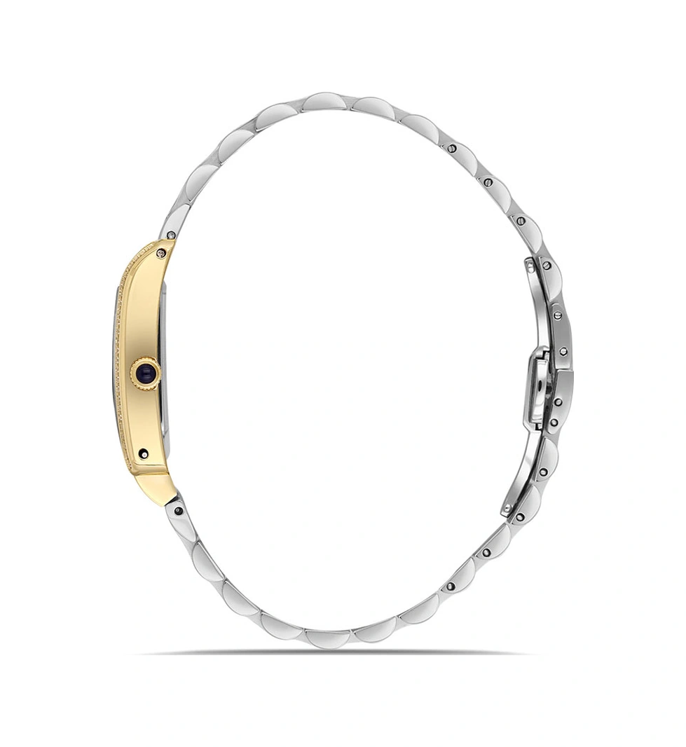 Momentus Ss365t-10sg Gold - Gri
