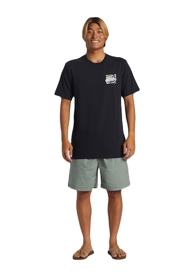 Quiksilver Aqyzt09540 Hurricane Or Hippie Moe Erkek Tişört 001