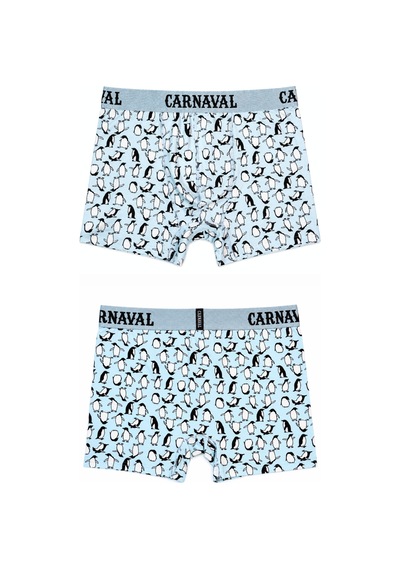 Carnaval Socks Penguen Desenli Erkek Boxer Pamuklu Likralı Parlak Lastikli Kutulu Açık Mavi Çoklu