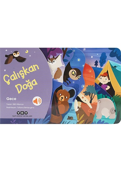 Çalışkan Doğa - Gece - Aıaı-885806