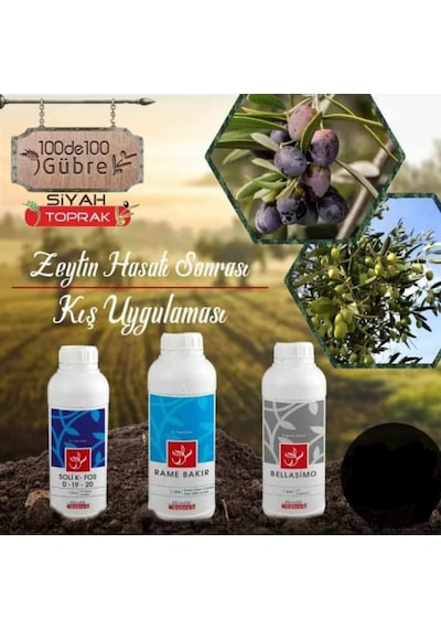 Zeytin Ağacı Hasat Sonrası Kış Uygulaması Gübre Seti