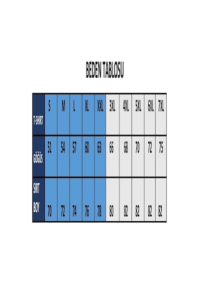 Bisiklet Yaka Erkek Tişört Gri